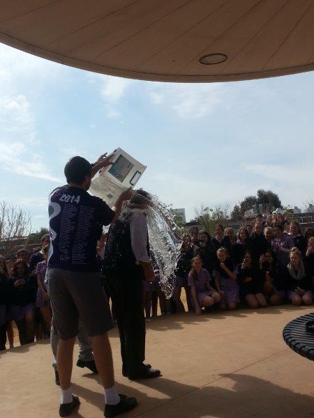 Ice Bucket 3