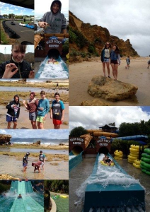 Anglesea Collage 3