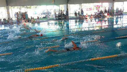 Swimming Sports 2014