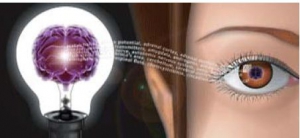 Brain Bee