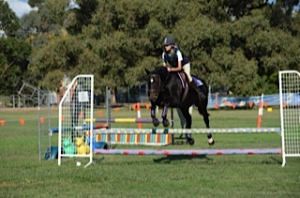 D grade jumping 3