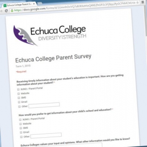 surveyimg