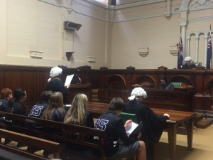 Court Trip