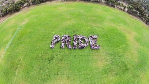 DJI00102-web