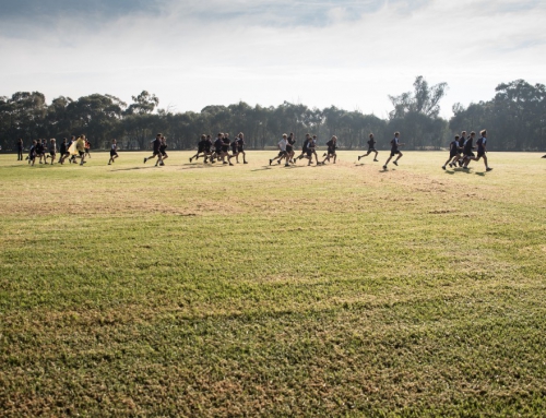 Cross Country 2017 Results